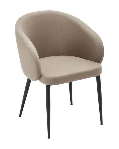 Orin Metal Armchair
