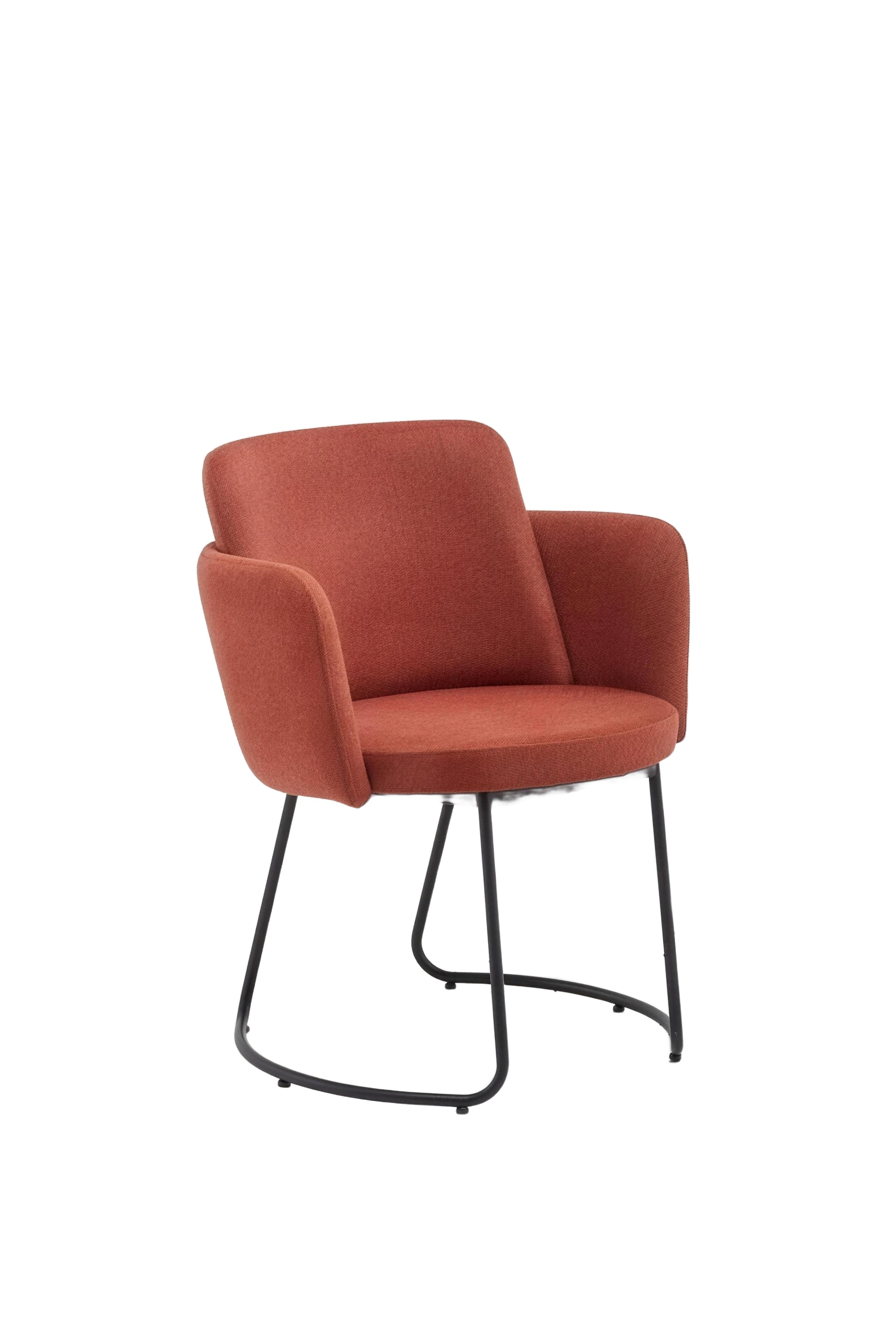 Azis Metal Armchair